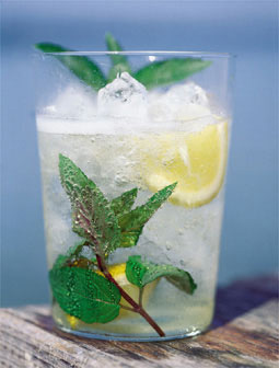 Holdirinha-Cocktail mit Holunderblüten und Prosecco